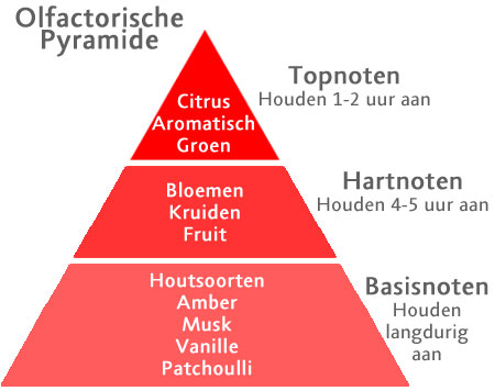 Parfum piramide