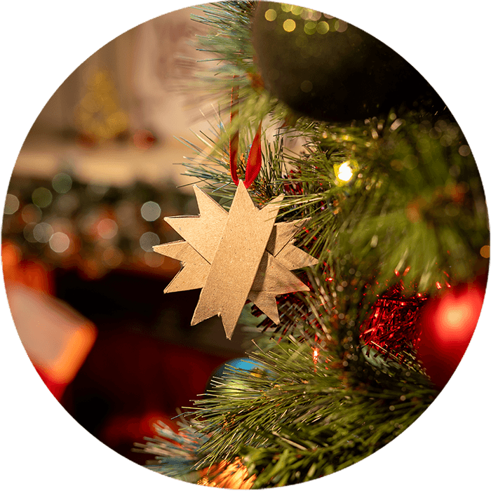 Productbeeld_202547FC1_Kerst knutselen_5.png