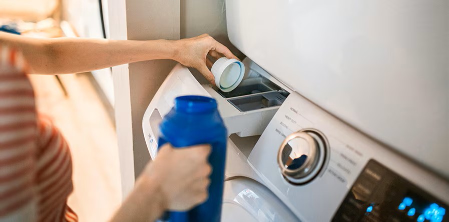 Article_thumb_header_Evergreen-Household.jpeg