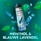Rexona Men Advanced Protection Menthol & Blue Lavender Antitranspirant Spray