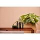 Therme Men Forest Legend Deodorant & Bodyspray
