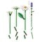 LEGO Botanicals 11508 Madeliefjes