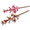 LEGO Botanicals 40725 Kersenbloesems