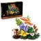LEGO Botanicals 11505 Bospaddenstoelen