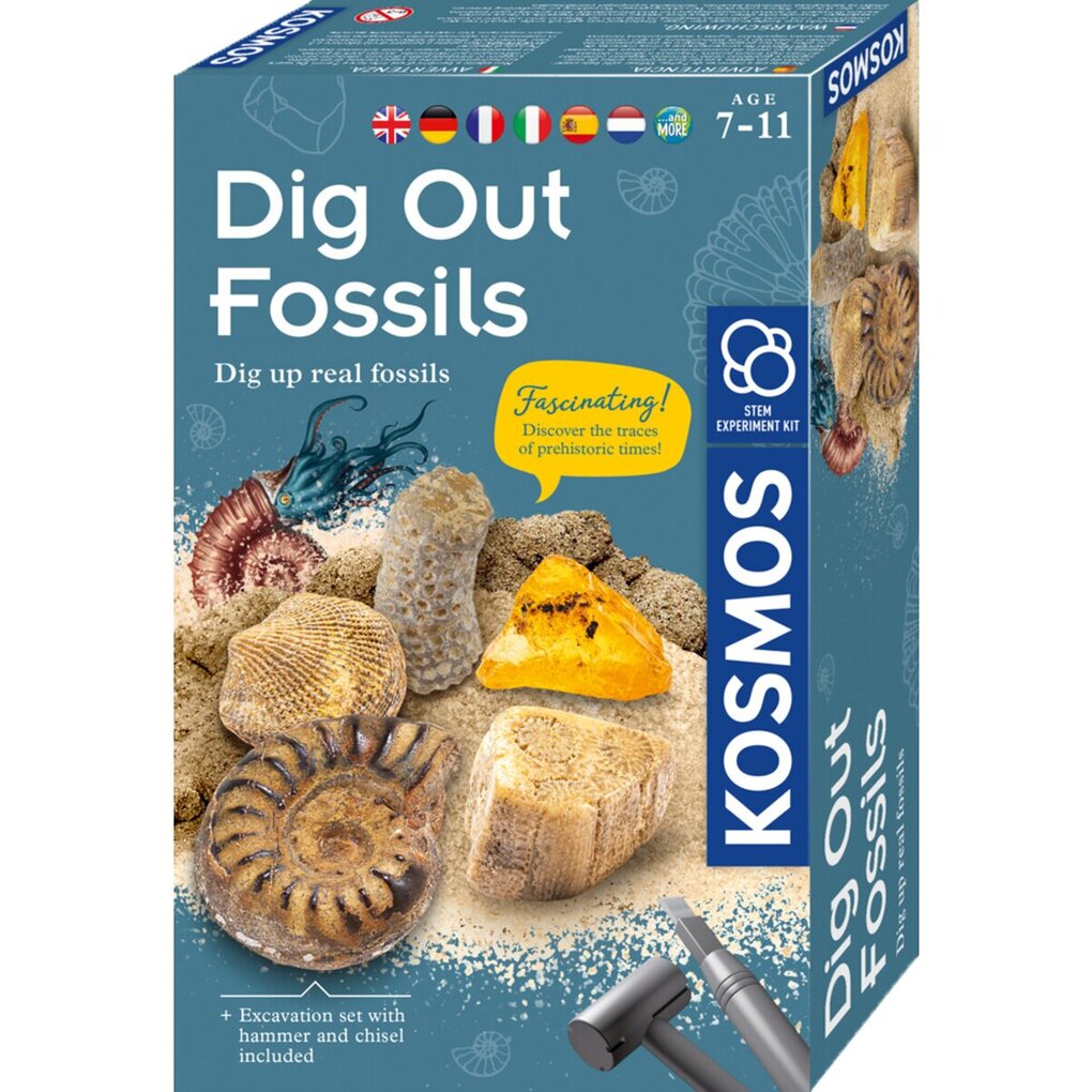 Kosmos Dig Out Fossils Kosmos Dig Out Fossils