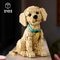 LEGO Icons 11384 Golden Retriever Puppy