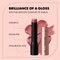 Catrice Glass Like 010 Bare Ambition Gloss Stick
