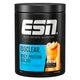 ESN Isoclear Peach Iced Tea Whey Protein Isolate