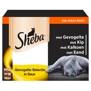 Je kat weet precies wat hij wil, en hoe hij het moet krijgen. Iedereen weet dat de echte baas in huis op vier poten rondloopt. Verwen je kat daarom met dit Sheba Gevogelte Selectie in Saus Kattenvoer. Je kat weet precies wat hij wil, en hoe hij het moet krijgen. Iedereen weet dat de echte baas in huis op vier poten rondloopt. Verwen je kat daarom met dit Sheba Gevogelte Selectie in Saus Kattenvoer.