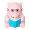 Pembe the Pink Cat Blindbox