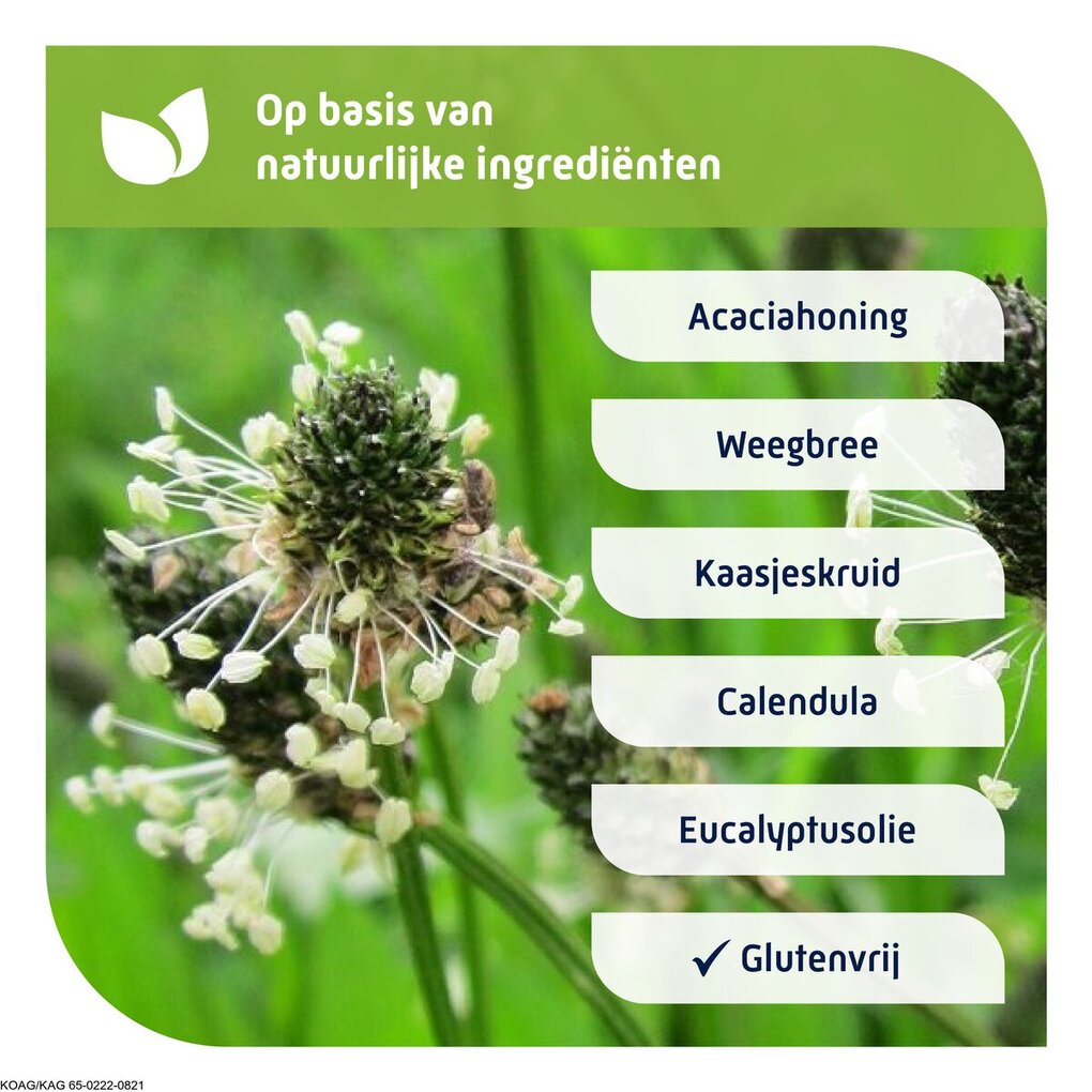 Natterman Voor Alle Hoest Hoestdrank