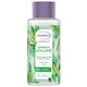 Andrélon Pro-Naturals Bamboo Volume Conditioner