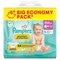 Pampers Premium Protection Maat 4+ Luiers