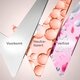 Rexona Maximum Protection Clean Scent Antitranspirant Deodorant Stick
