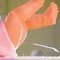 Bayer Piccolina Newborn Babypop