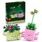 LEGO Botanicals 11506 Schommelende Plantjes