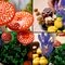 LEGO Botanicals 11505 Bospaddenstoelen