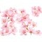 Kneipp Soft Skin Massageolie