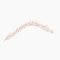Catrice Micro Blade 010 Soft Blonde Waterproof Brow Pen