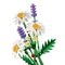 LEGO Botanicals 11508 Madeliefjes