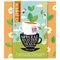 Clipper Spring Selection Tea Geschenkset