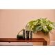 Therme Men Forest Legend Deodorant & Bodyspray