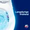 Glorix Power 5 Ocean Toiletblokken