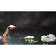 Therme Zen White Lotus Body Mist
