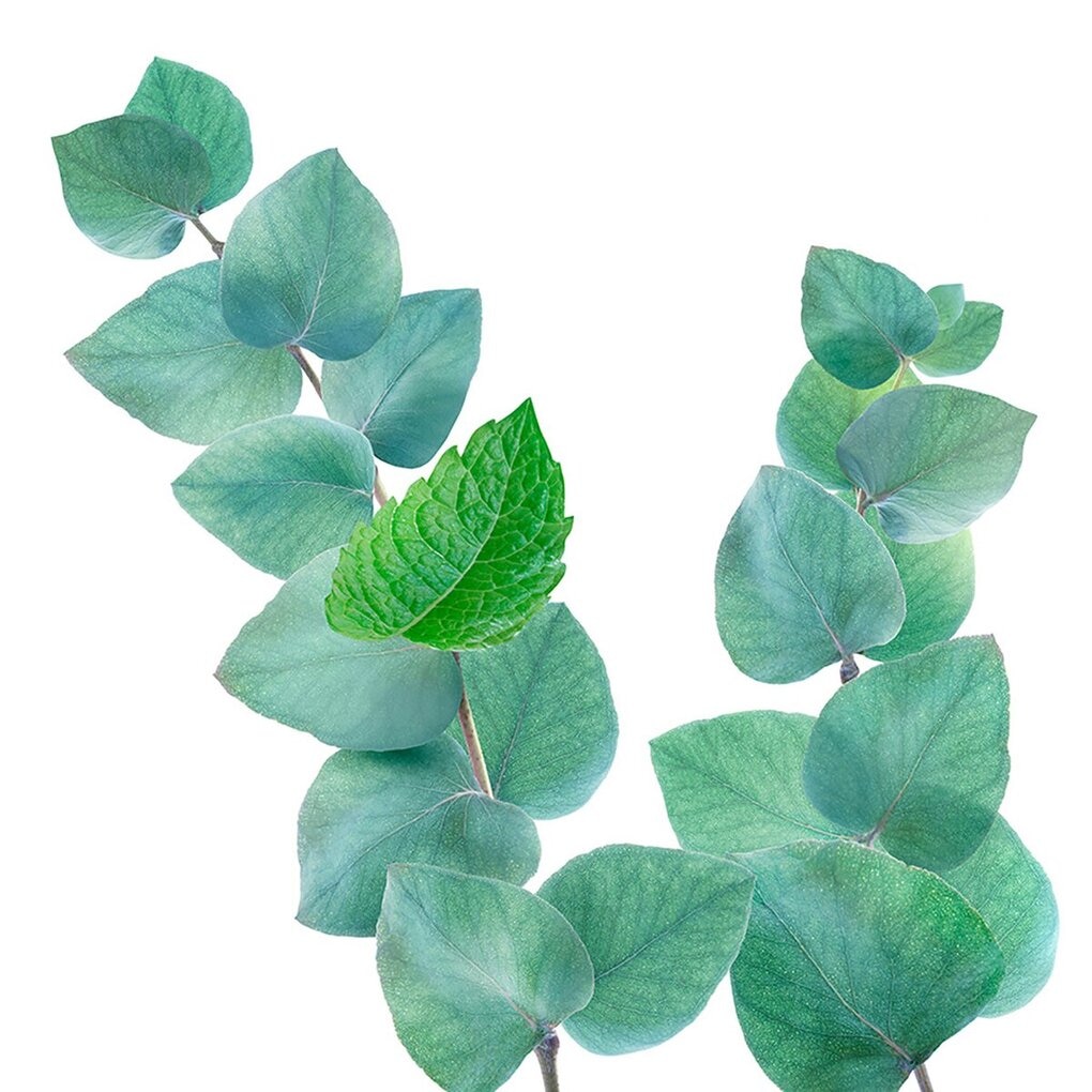 Kneipp Refreshing Mint-Eucalyptus Douchegel