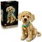 LEGO Icons 11384 Golden Retriever Puppy