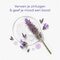 Dove Body+Mind French Lavendel & Oat Milk Serum-Infused Soak