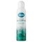 Odorex Fresh Eucalyptus Shower Foam