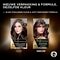 L'Oréal Paris Préférence 5.21 Koel Lichtbruin Permanente Haarkleuring