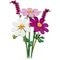 LEGO Botanicals 11514 Cosmeabloemen