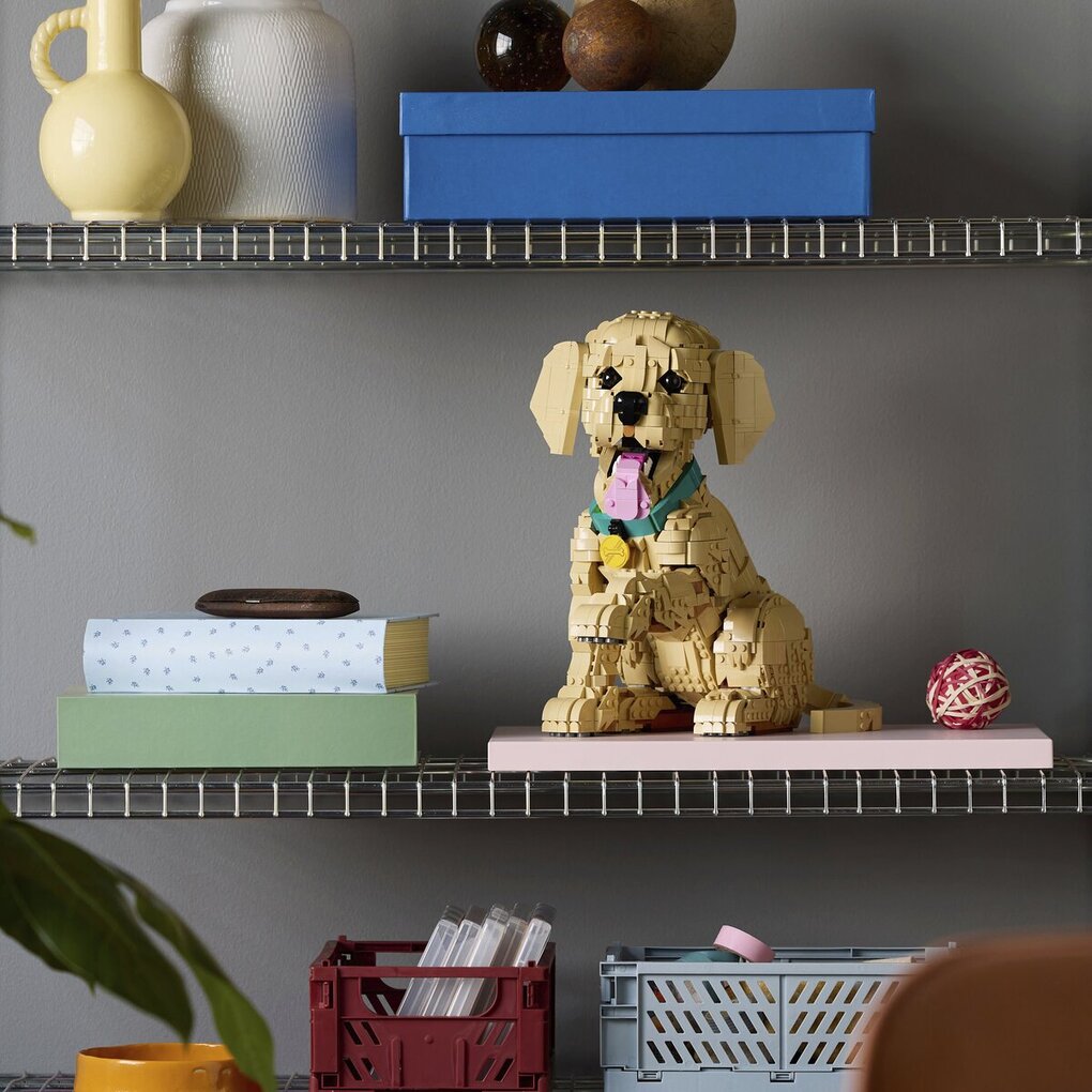 LEGO Icons 11384 Golden Retriever Puppy