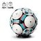 LEGO Editions-sets 43019 Voetbal