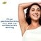 Dove Original Deodorant