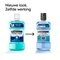 Listerine Total Care Bescherming Tegen Tandsteen Mondspoeling