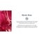Therme Mystic Rose Antitranspirant Spray