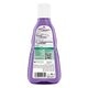 Guhl Zilverglans & Verzorging Shampoo