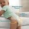 Pampers Baby-Dry Maat 4+ Luiers