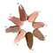 Essence Blur Nude 01 Vanilla Foam Eyeshadow Stick