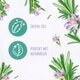 Andrélon Pro-Naturals Rosemary Refresh Shampoo