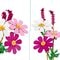 LEGO Botanicals 11514 Cosmeabloemen