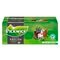 Pickwick Original English Thee
