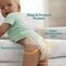 Pampers Baby-Dry Maat 8 Luiers