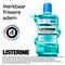 Listerine Cool Mint Mondspoeling