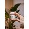 Therme Forest Flower Meditation Bodybutter