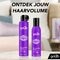 Got2b Volumania 24H Volumizing Mousse