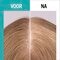 Gliss Scalp Balance Gentle Shampoo